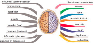 hersenhelften beelddenken